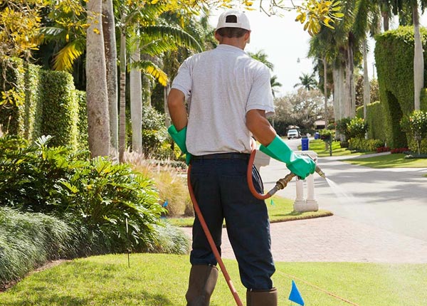 About Stockbridge MI Pest Control Pros